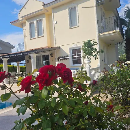 The Yellow & Oeluedeniz & Villa Fethiye